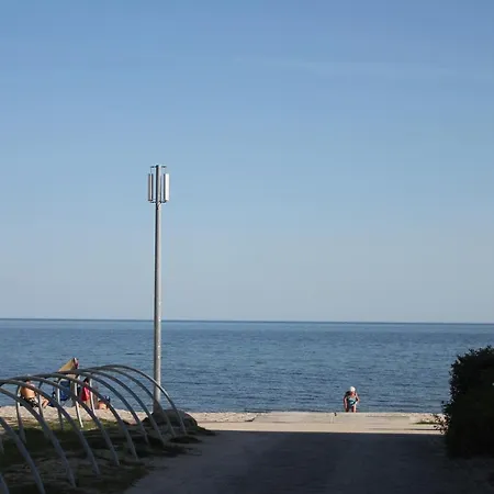 Silbermoewe Im Kirschgarten *