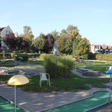 Silbermoewe Im Kirschgarten *