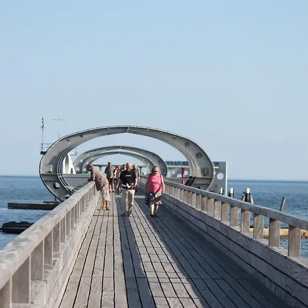 Silbermoewe Im Kirschgarten *