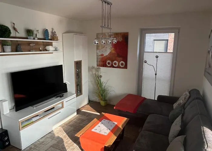 Silbermoewe Im Kirschgarten