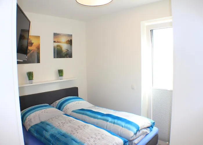 Silbermoewe Im Kirschgarten