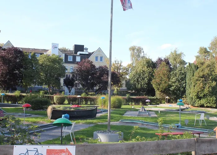 Silbermoewe Im Kirschgarten