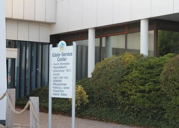 Silbermoewe Im Kirschgarten