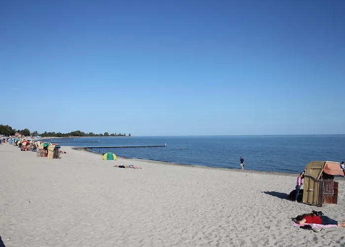 Silbermoewe Im Kirschgarten * Kellenhusen