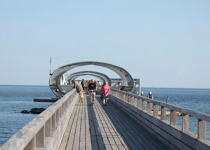 Silbermoewe Im Kirschgarten *